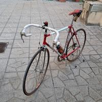 bici da corsa Francesco Moser