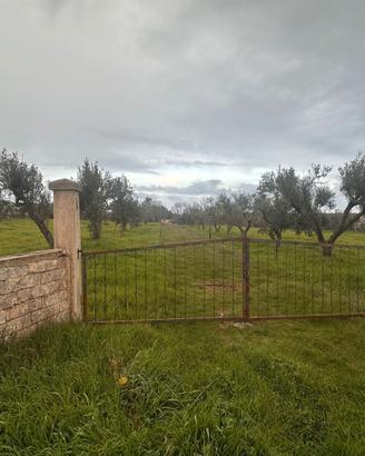 Terreno Agricolo Uliveto Seminativo Selva San Vito