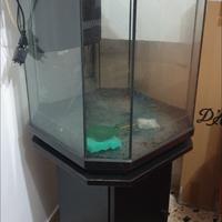 acquario verticale ottagonale 
