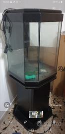 acquario verticale ottagonale 
