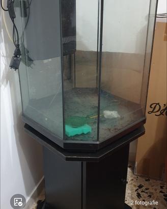 acquario verticale ottagonale 