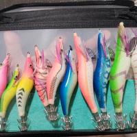 set 10 artificiali da pesca spinning 