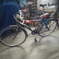 Bicicletta Vintage 