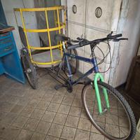 Bicicletta tre ruote