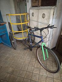 Bicicletta tre ruote