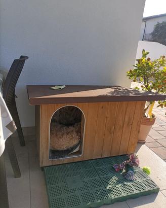Cuccia per cane da giardino in legno coibentate