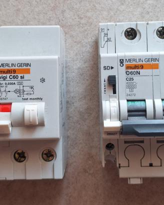 Interruttori C25