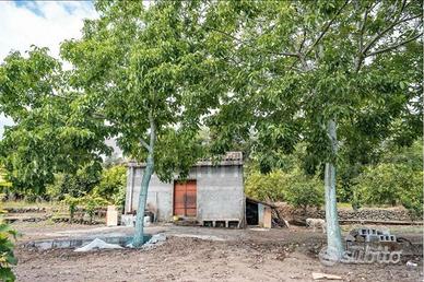 Terreno panoramico con fabbricato a Mascali