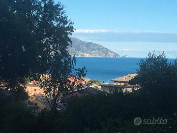 MONTEROSSO appartamento vista mare
