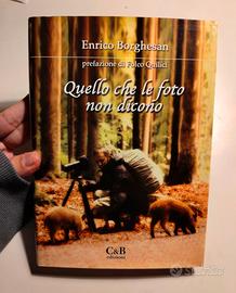 Quello che le foto non dicono, Borghesan