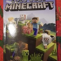 Diario Minecraft 