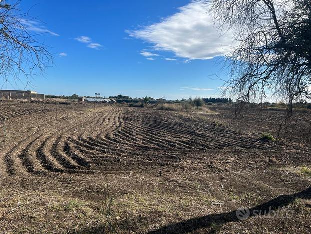 Agricolo a Siracusa - CIRCUITO - CIANE