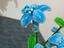 Immagine 2