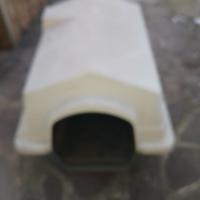 Cuccia media