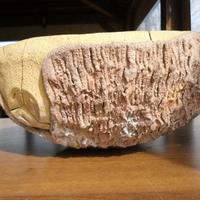 Centrotavola Ciotola antica