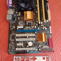 Scheda madre desktop Asus P5QL/EPU
