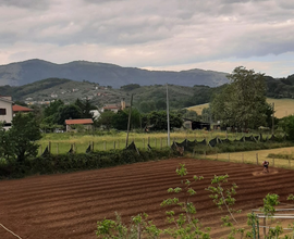 Terreno edificabile + agricolo