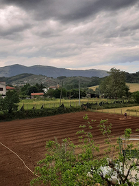 Terreno edificabile + agricolo