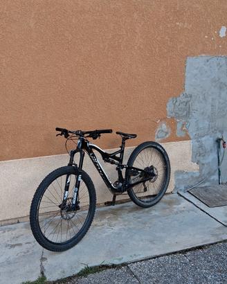 specialized 