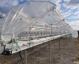 Impianti di coltivazione fuori suolo idroponica