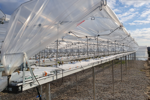 Impianti di coltivazione fuori suolo idroponica