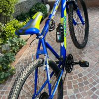 Bici Ragazzo Stark 24″
