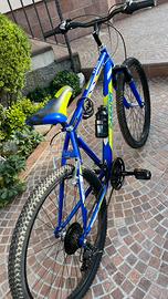Bici Ragazzo Stark 24″