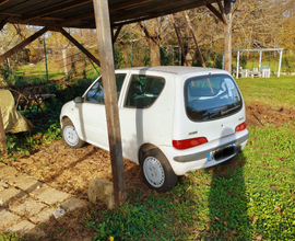 Fiat seicento 1100