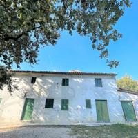 Terreno edificabile, agricolo e casa colonica