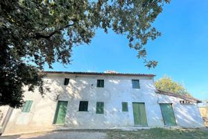 Terreno edificabile, agricolo e casa colonica