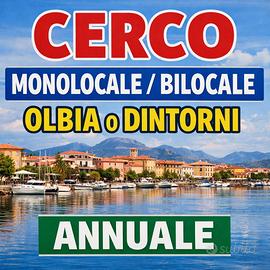Monolocale/ bilocale Olbia o dintorni