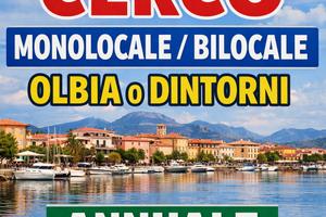 Monolocale/ bilocale Olbia o dintorni