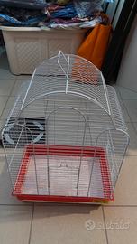 Gabbia uccelli