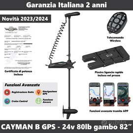 Motore Haswing Cayman + batteria