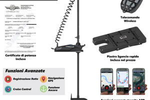 Motore Haswing Cayman + batteria