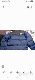 Piumino uomo The north face 700