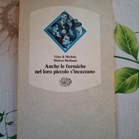 Anche le formiche nel loro piccolo s'incazzano