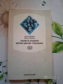 Anche le formiche nel loro piccolo s'incazzano