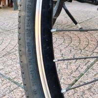bici elettrica 