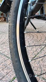 bici elettrica 