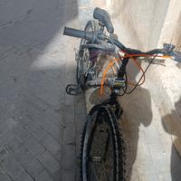 bicicletta 25