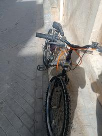 bicicletta 25