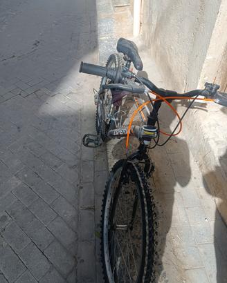 bicicletta 25