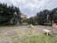 Immagine 9
