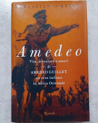 Libro " Amedeo "