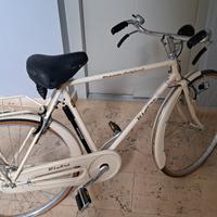 Bicicletta stile vintage con freni a bacchetta
