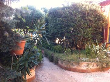 Appartamento piano terra con ingresso indipendente