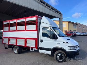 Iveco Daily 35c13 trasporto animali vivi patente B
