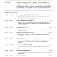 Autista Pat.B magazziniere uso muletto .o altro