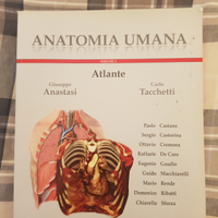 Anatomia umana